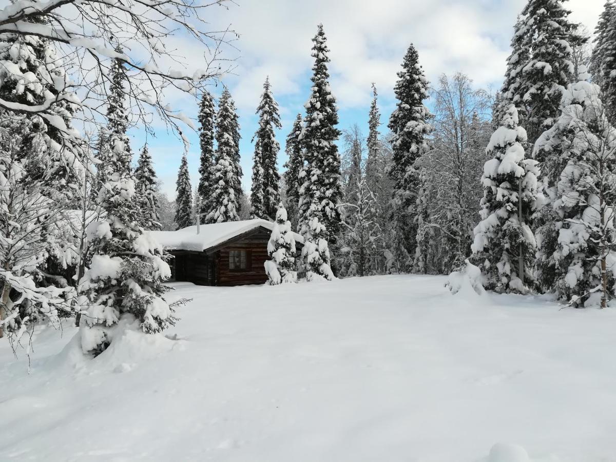 Tunturipoelloe Guesthouse Luosto Exterior photo